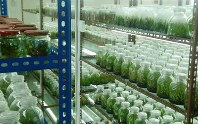 桂興生態農業技科技示范區
